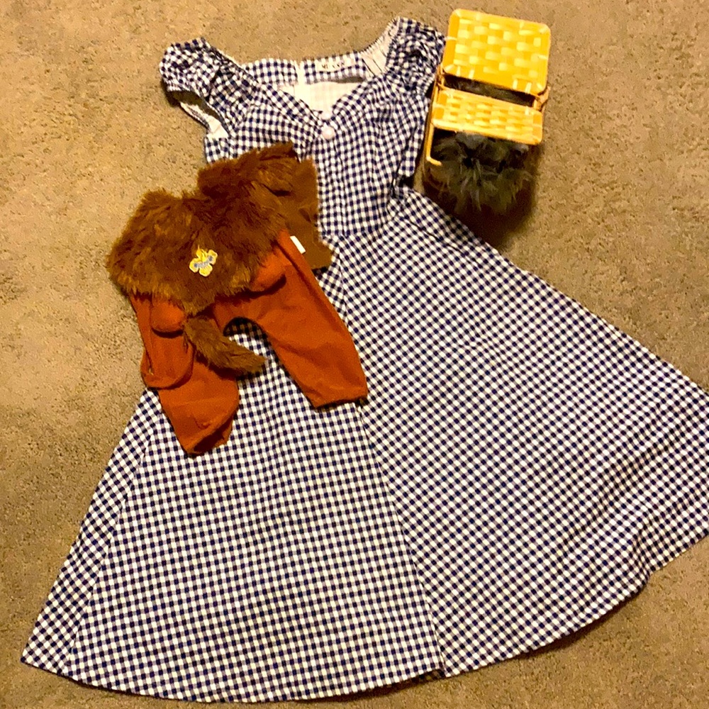 Wizard of Oz halloween costume + dog costume